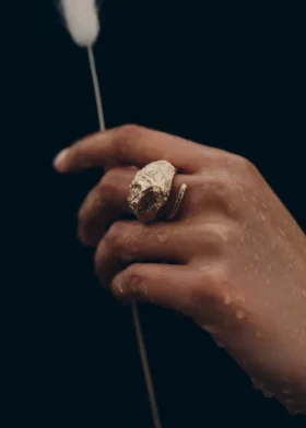 Eroz Ring Edition 24 carat gold gilded